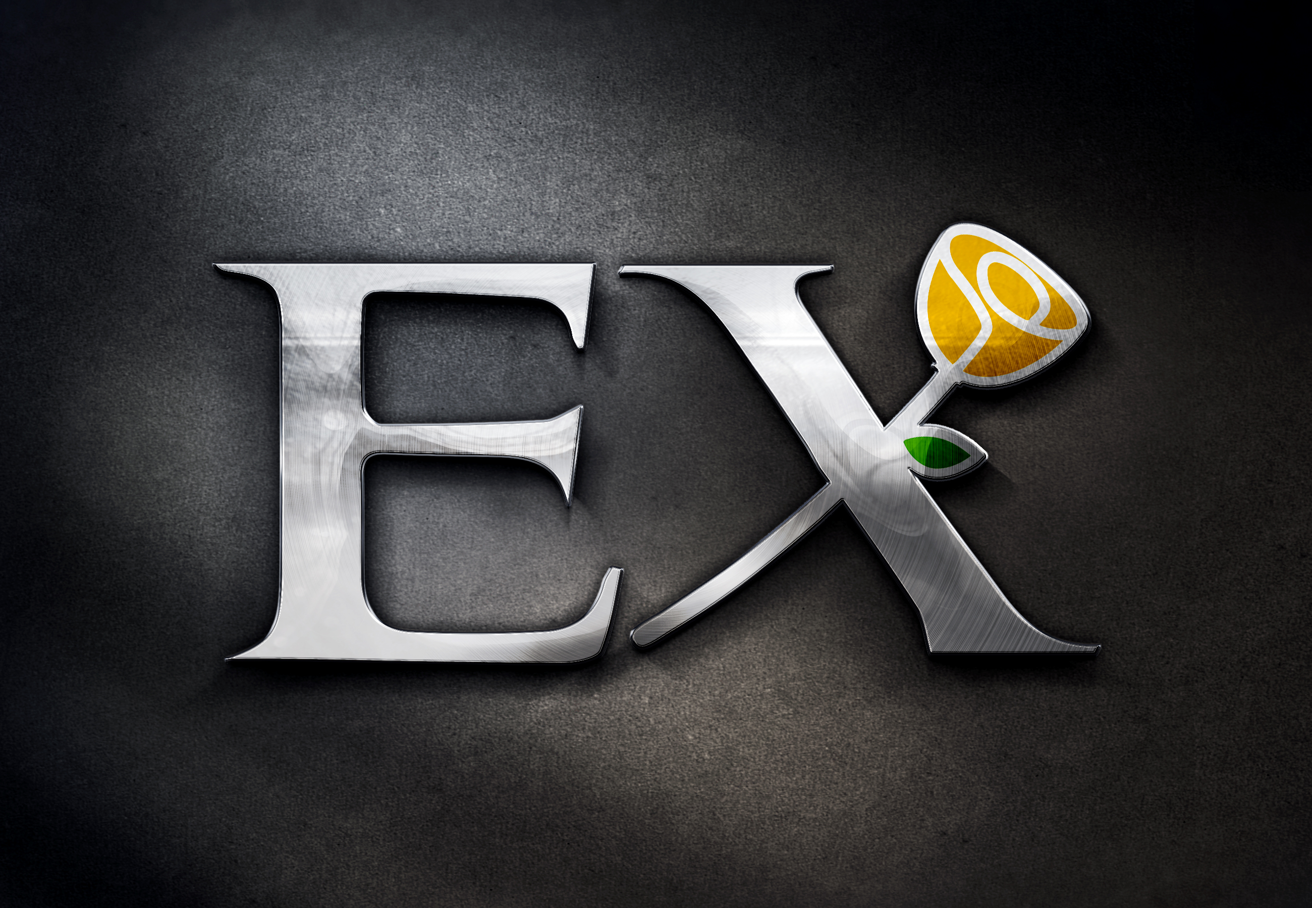 logo
